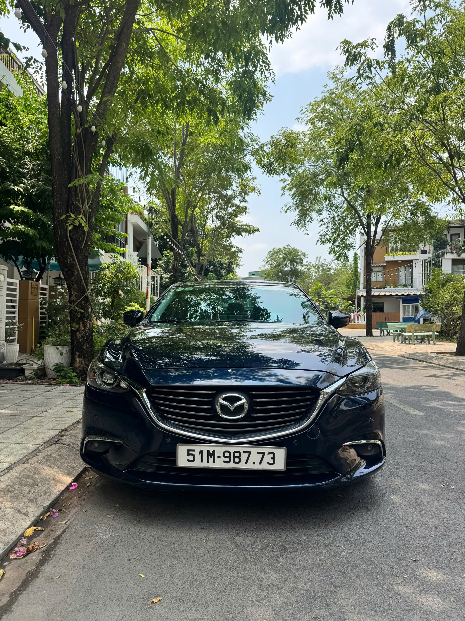 z7686661915324 a6db10aa88c8c96c478d388288df1499