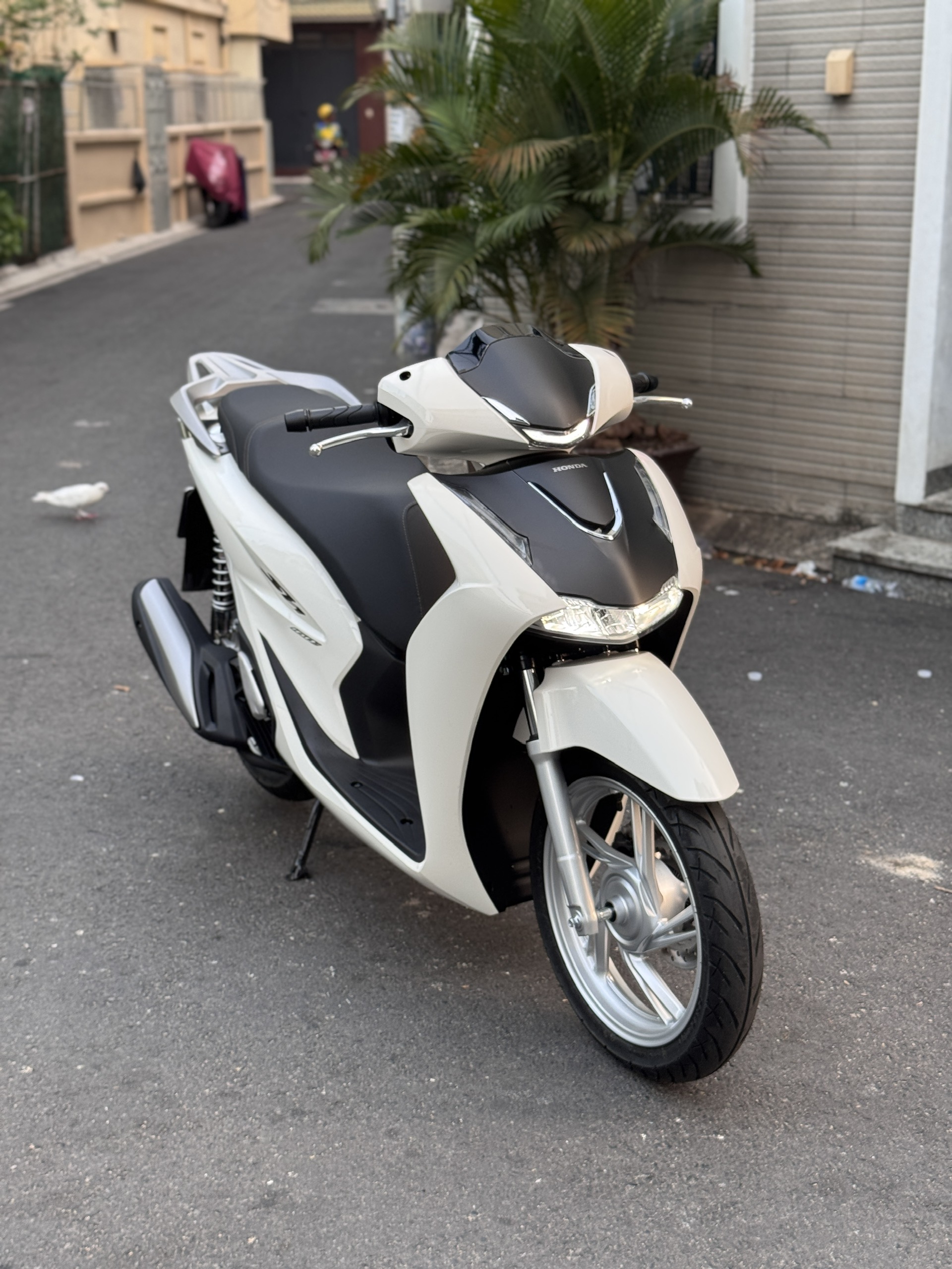 z7718248134127 113aea56398d450bb36b4239d61659fc